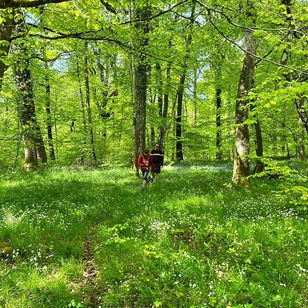 Maison Chaleureuse Avec Jardin - Pause Normande ซี ภายนอก รูปภาพ