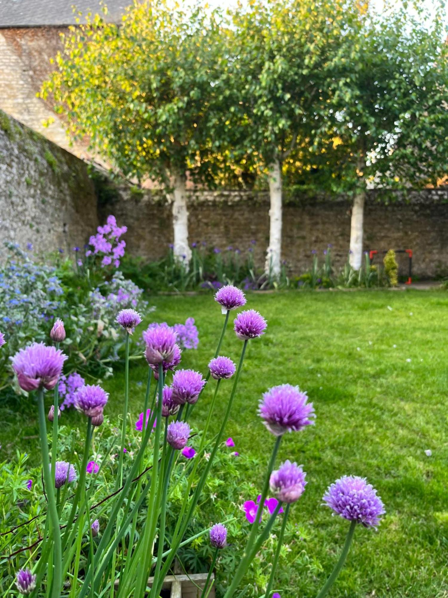 Maison Chaleureuse Avec Jardin - Pause Normande ซี ภายนอก รูปภาพ